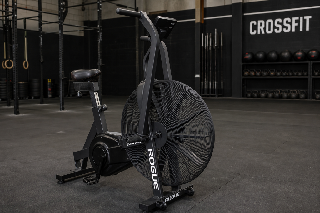 Rogue Echo Bike