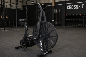 Rogue Echo Bike